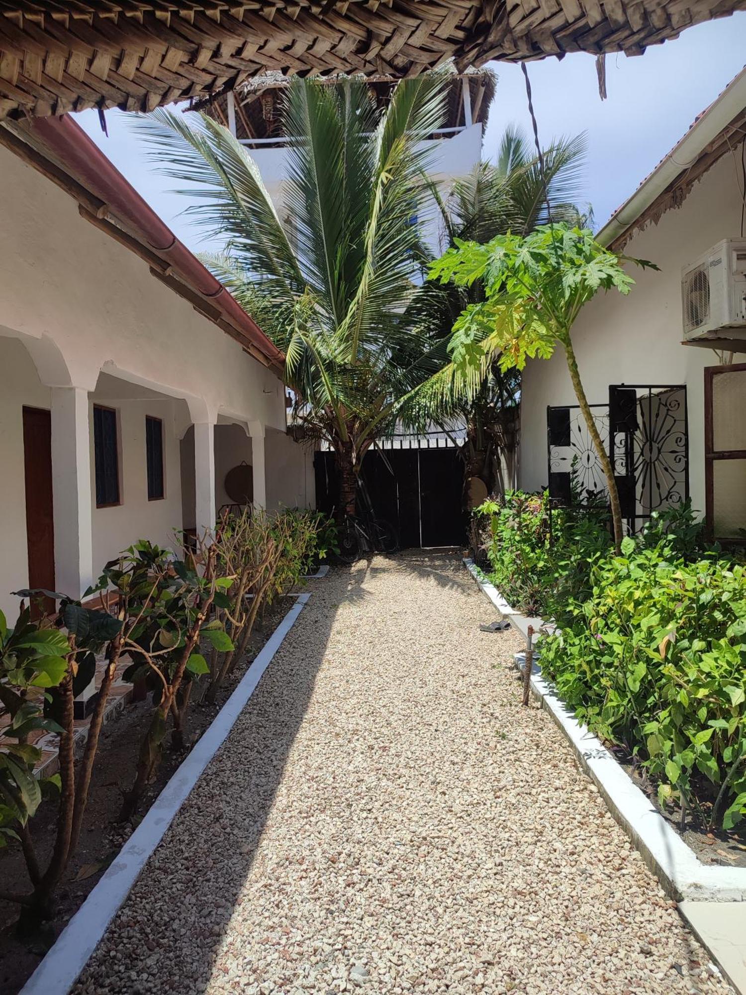 Fish House Nungwi Bed & Breakfast Bagian luar foto