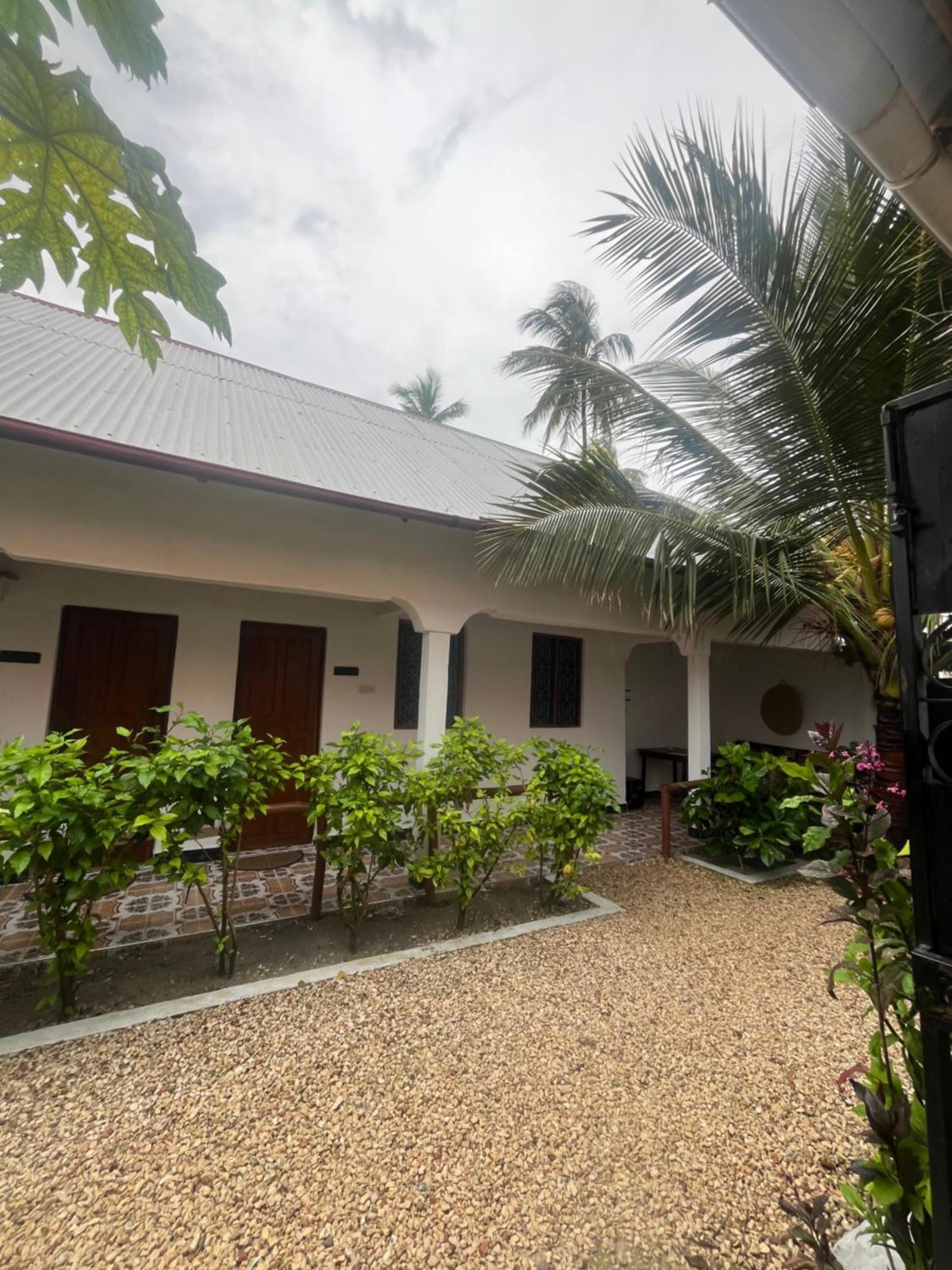 Fish House Nungwi Bed & Breakfast Bagian luar foto